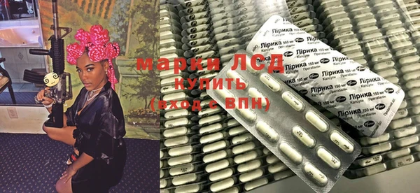 амф Тайга