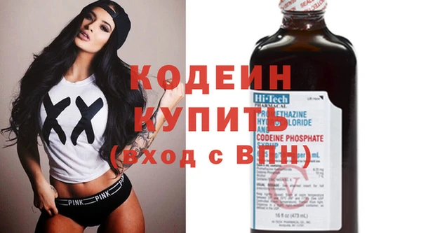 амф Тайга
