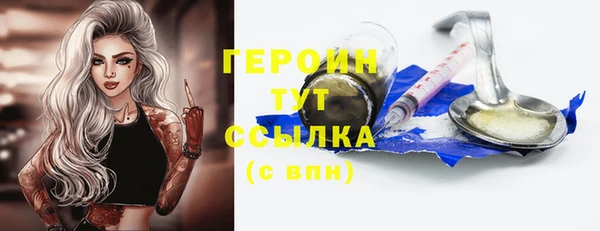 дживик Сясьстрой