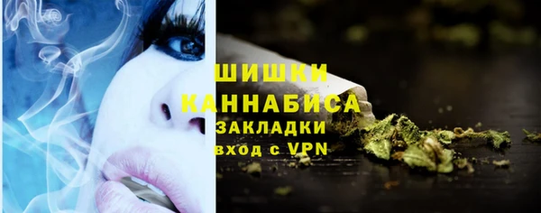 дживик Сясьстрой