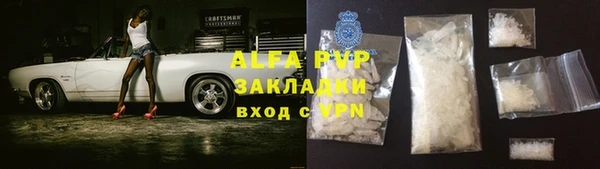 амф Тайга