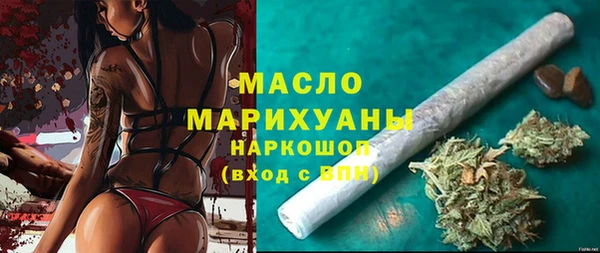 амф Тайга