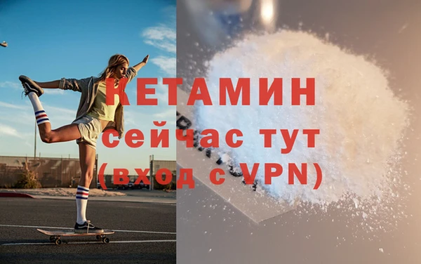 дживик Сясьстрой