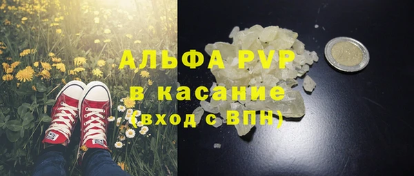 шишки Верхний Тагил